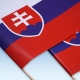 Sada vlajočiek 10ks na drevenej paličke