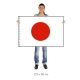 Japonsko vlajka