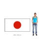 Japonsko vlajka