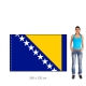 Bosna a Hercegovina vlajka