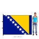 Bosna a Hercegovina vlajka