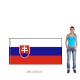 Slovenská republika vlajka