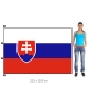 Slovenská republika vlajka