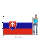 Slovenská republika vlajka