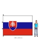 Slovenská republika vlajka