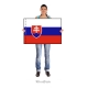 Slovenská republika vlajka