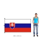 Slovenská republika vlajka