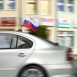 SR autovlajka na anténu